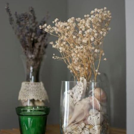 Cal Punte - Anita Apartment Понст Екстериор снимка